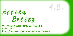 attila erlitz business card